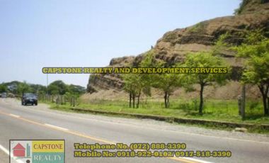 Commercial Lot for sale San Juan, La Union