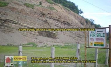 Commercial Lot for sale San Juan, La Union