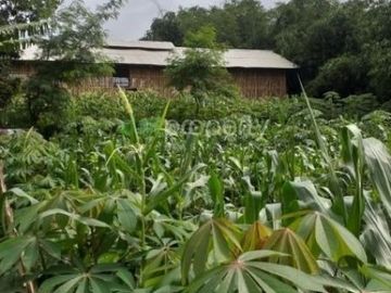 Tanah 1600m Stratgis Kandang Ayam Kapasitas 1500 Kertaangsana Sukabumi