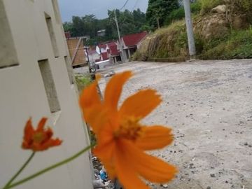 Perumahan 100 Jutaan Rangkasbitung, Free biaya-biaya
