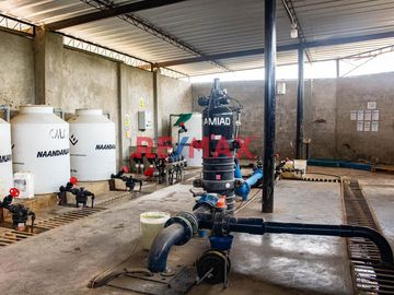 Se Vende Fundo De Palto De 37 Hectareas Motupe