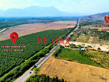 Se Vende Fundo De Palto De 37 Hectareas Motupe