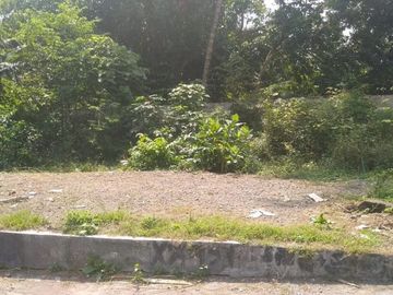Rumah klasik Timur Pemda Sleman