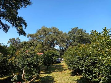 Excelente casa de descanso con el mejor clima de Cuernavaca (Monte Casino)