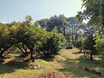 Excelente casa de descanso con el mejor clima de Cuernavaca (Monte Casino)