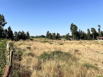 Parcela en Venta en Hermosa parcela en Ñuble Alto, Sector Parque Lantaño