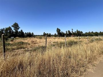 Parcela en Venta en Hermosa parcela en Ñuble Alto, Sector Parque Lantaño
