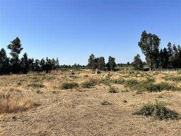 Parcela en Venta en Hermosa parcela en Ñuble Alto, Sector Parque Lantaño