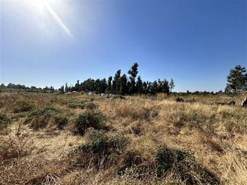 Parcela en Venta en Hermosa parcela en Ñuble Alto, Sector Parque Lantaño