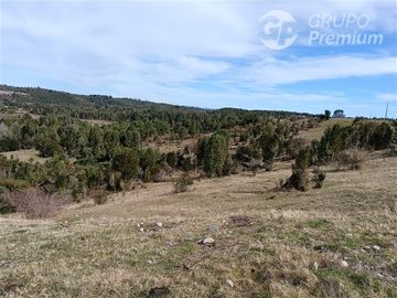 PARCELA DE UNA HECTAREA EN QUEMCHI