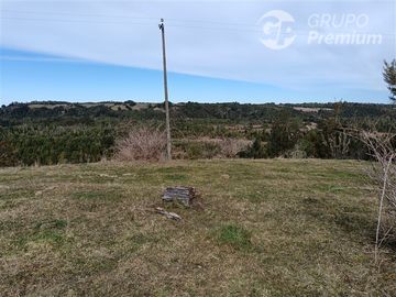 PARCELA DE UNA HECTAREA EN QUEMCHI