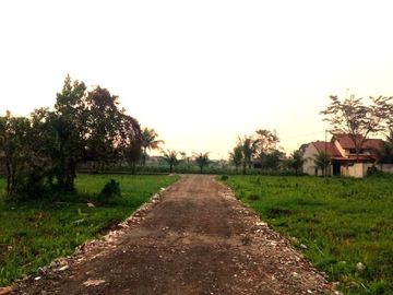 Kavling Kost 1 Jt-an, 3 Km Kampus IPB, SHM