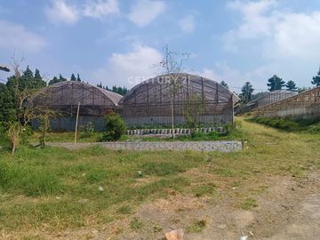 Tanah Sangat Cocok Jadi Lahan Produktif Di Kolonel Masturi