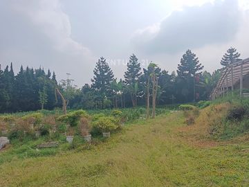 Tanah Sangat Cocok Jadi Lahan Produktif Di Kolonel Masturi