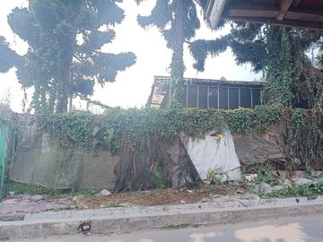 Tanah Sangat Cocok Jadi Lahan Produktif Di Kolonel Masturi