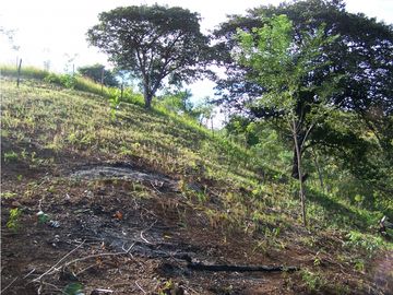 TERRENO A LA VENTA EN SANTA CATALINA VERAGUAS