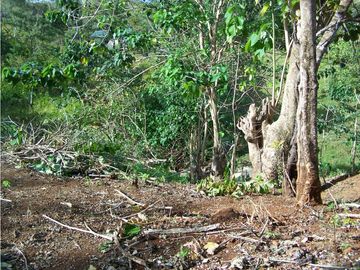 TERRENO A LA VENTA EN SANTA CATALINA VERAGUAS