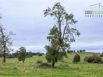 Parcela en Venta en Línea Balmaceda, Nueva Braunau