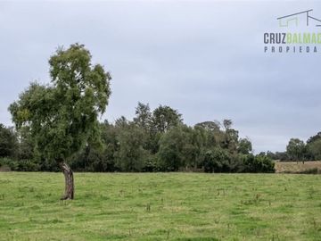 Parcela en Venta en Línea Balmaceda, Nueva Braunau