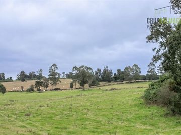 Parcela en Venta en Línea Balmaceda, Nueva Braunau