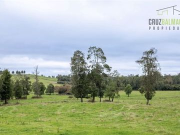 Parcela en Venta en Línea Balmaceda, Nueva Braunau