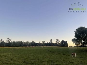 Parcela en Venta en Línea Balmaceda, Nueva Braunau