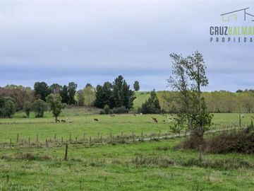 Parcela en Venta en Línea Balmaceda, Nueva Braunau