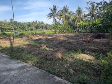 Kavling Tanah Jogja Terbaik Area Penyangga Bandara YIA, Diskon 25%