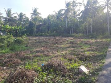 Kavling Tanah Jogja Terbaik Area Penyangga Bandara YIA, Diskon 25%