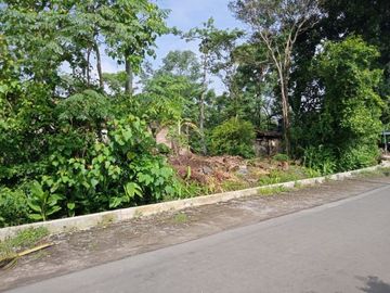 Tanah Luasan 167 m2 Dijual di Manisrenggo 5 Menit Ke Jl Jogja-Solo