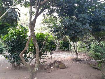 TANAH DI JALAN MAGELANG KM 11 DEKAT PASAR SLEMAN