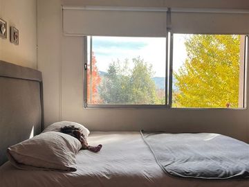 Se Vende Casa para remodelar, 5 dormitorios, Las Condes.