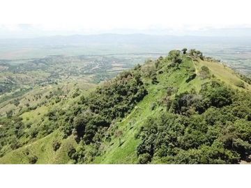 Venta Finca en Pastos, San Pacho - Valle del Cauca