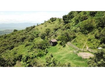 Venta Finca en Pastos, San Pacho - Valle del Cauca
