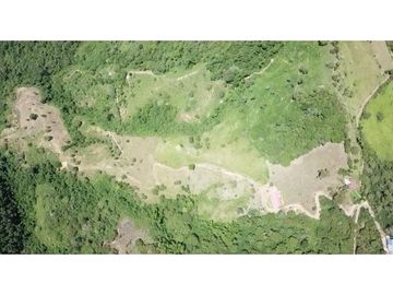 Venta Finca en Pastos, San Pacho - Valle del Cauca