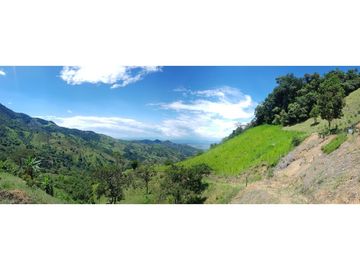 Venta Finca en Pastos, San Pacho - Valle del Cauca