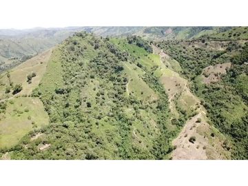 Venta Finca en Pastos, San Pacho - Valle del Cauca