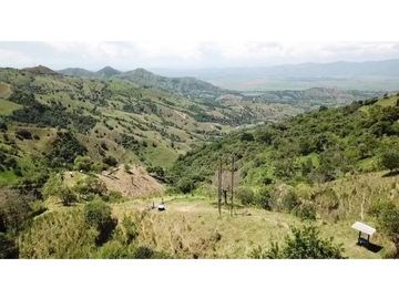 Venta Finca en Pastos, San Pacho - Valle del Cauca