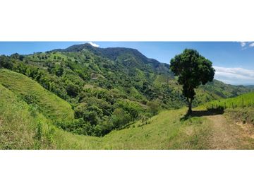 Venta Finca en Pastos, San Pacho - Valle del Cauca