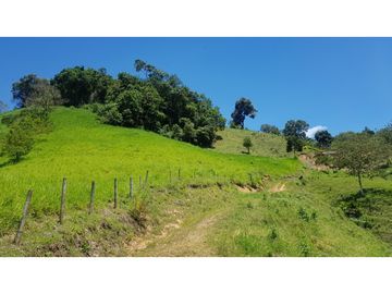 Venta Finca en Pastos, San Pacho - Valle del Cauca