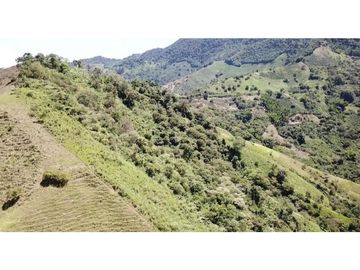 Venta Finca en Pastos, San Pacho - Valle del Cauca