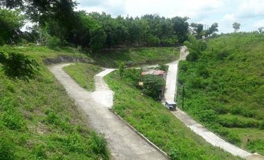 Cheapest 100 Sqm Lot for Sale in Consolacion, Cebu
