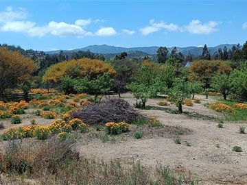 Parcela en Venta en Lo Orozco