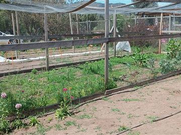 Parcela en Venta en Lo Orozco