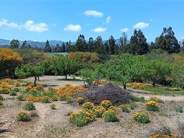 Parcela en Venta en Lo Orozco