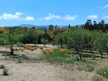 Parcela en Venta en Lo Orozco