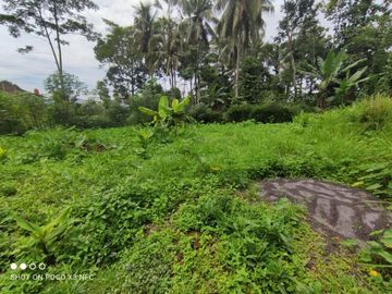 RUMAH MEWAH 2 LANTAI LOKASI TEPI JALAN UTAMA MAGELANG
