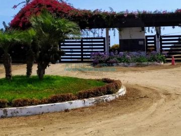 Terrenos Residenciales Venta CAR. PANAMERICANA SUR KM 39 - PUNTA NEGRA