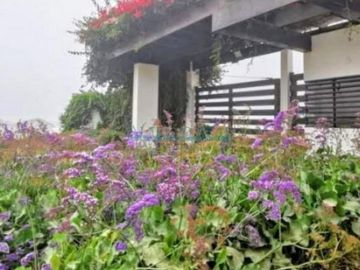 Terrenos Residenciales Venta CAR. PANAMERICANA SUR KM 39 - PUNTA NEGRA