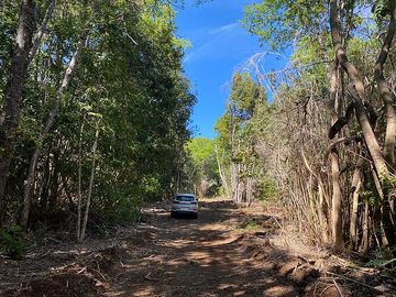 Vendo 9 lotes ubicados en km 53 camino a las Termas de Chillán